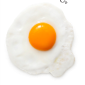 facts-left-egg facts-left-egg