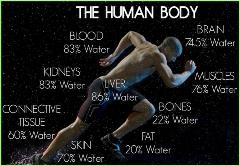 water-and-the-human-body